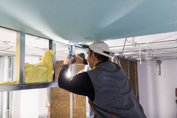 Best Insulation for Specific Applications in Windsor, IL