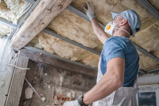 Best Commercial Insulation in Windsor, IL