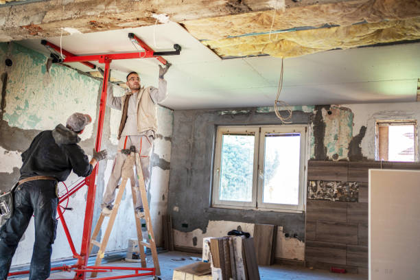 Best DIY Insulation Kits and Guidance in Windsor, IL